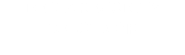 DELTA SECURITY SOLUTIONS